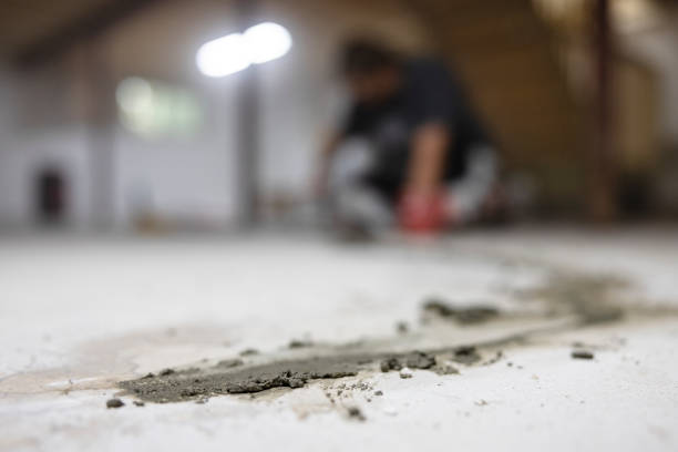 Understanding Mold Prevention Through Insulation Removal