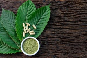 White Thai Kratom Your Guide to Thailand’s Brightest Herbal Innovation